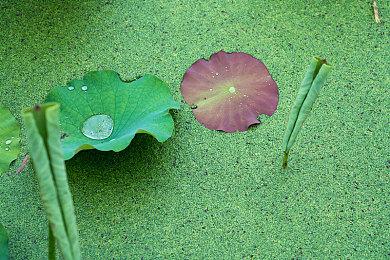 2月国内网游热力榜：英雄联盟第一 原神仅第八